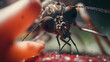 Macro image of a mosquito biting a person and sucking blood. Danger of mosquito-borne diseases. Generative ai.