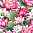 lotus flower seamless pattern