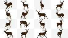 Deer Silhouette Collection, Highly Detailed Lion Silhouettes Stock Illustration, Set Vector