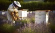  a man in a white hat and a beekeeper in a field of bees.  generative ai