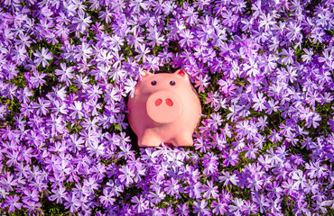 Canvas Print - Piggy Bank on the background of purple flowers