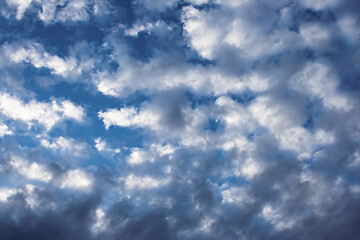 Poster - Blue skies with white clouds