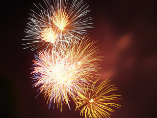 colourful fireworks exploding in the sky