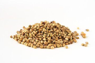 Sticker - whole dhania coriander, isolated on white. Shallow depth of field, focused on the centre of the pile.