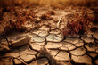 Drought. lack or absence of precipitation over a long period of time with elevated temperatures and low air humidity, resulting in the disappearance of moisture reserves in the soil. Generative AI