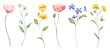 Watercolor wildflowers border banner for stationary, greetings, etc. floral decoration. Hand drawing.