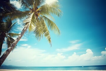 Coconut palm tree on the beach with sea and sky