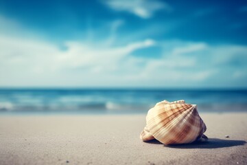 Wall Mural - Seashell on a sandy beach with a blue sky in the background