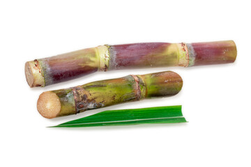 Wall Mural - Organic sugar cane isolated on white background, Indian organic sugar cane to make sugar, jaggery, juice, delicious sweets