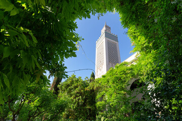 Canvas Print - Garden o the great mosque of Paris 