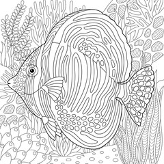 Wall Mural - Underwater scene with a sailfin tang fish. Adult coloring book page with intricate mandala and zentangle elements.