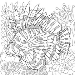 Wall Mural - Underwater scene with a lionfish. Adult coloring book page with intricate mandala and zentangle elements.