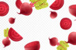 Flying beet. Falling beetroots, whole and slices isolated on transparent background, selective focus. Realistic 3d vector illustration