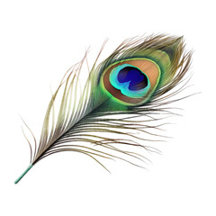 Wall Mural - Peacock feather watercolor style