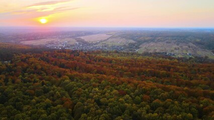 Canvas Print - View from above of colorful woods at sunset. Yellow and orange canopies in autumn forest on sunny evening. Landscape of wild nature in autumn