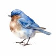 Male Eastern Bluebird, Isolated Songbird Watercolor-Style Bird Illustration [Generative AI]