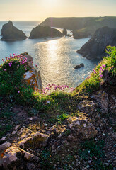 Wall Mural - Beauitful sunrise and sunset landscape image of Kynance Cove in Cornwall England with colourful sky