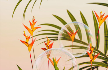 Aufkleber - Soap bubbles with tropical plants on evening sky background. 3d rendering