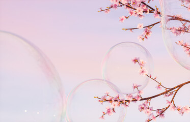 Aufkleber - Beautiful sakura blossoms flower and soap bubbles on evening sky background. 3d rendering