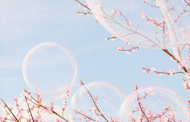 Aufkleber - Beautiful sakura blossoms flower and soap bubbles on blue sky background. 3d rendering