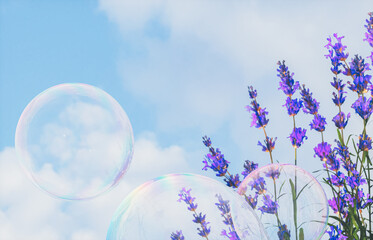 Aufkleber - Beautiful lavender flowers and soap bubbles on blue sky background. 3d rendering