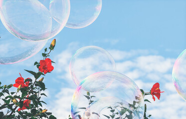 Aufkleber - Beautiful hibiscus flowers and soap bubbles on blue sky background. 3d rendering
