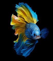 Wall Mural - Betta flower fish. Colorful fighting Siamese fish with beautiful flower tail and fins isolated on white. Amazing exotic floral tropical fish ai generated illustration