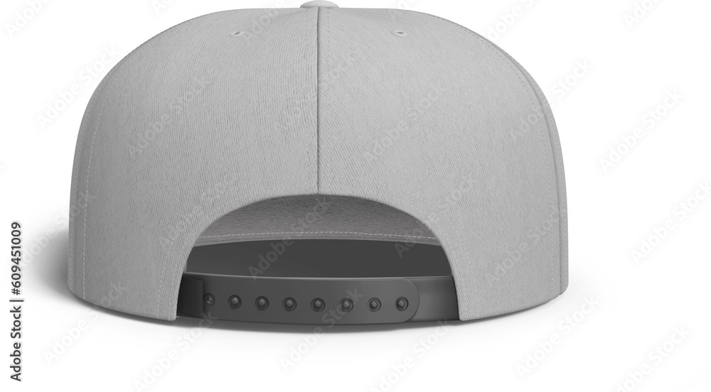 5 Panel Baseball Cap Blank Back View Isolated 3D Rendering Stock ...