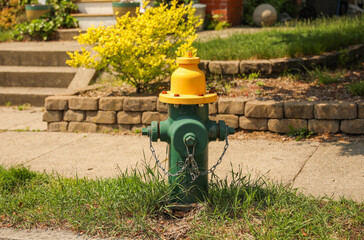 Wall Mural - Fire hydrants symbolize safety, emergency response, and firefighting. They represent preparedness, the presence of water supply for firefighting purposes, and the importance of public safety