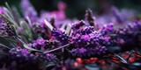 Fototapeta Lawenda - AI Generated. AI Generative.  Lavender plant flower macro shot photo illustration. Graphic Art