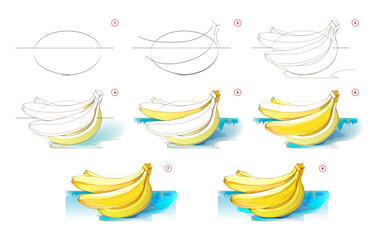 Wall Mural - How to learn to draw sketch of a bunch of bananas. Creation step by step watercolor painting. Educational page for artists. Textbook for developing artistic skills. Vector illustration.