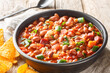 Frijoles charros is a traditional Mexican dish made of pinto beans stewed with onion, garlic, and bacon closeup on the bowl on the table. Horizontal