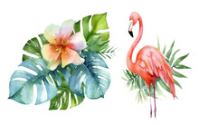 Watercolor Set Illustration Of Pink Flamingo Among Tropical Flowers Isolated On White Background