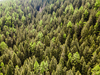  Tessin in der Schweiz