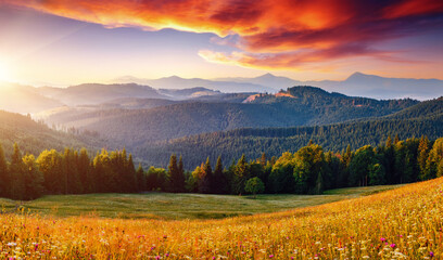 Wall Mural - Majestic view of the mountain ranges illuminated by the sun's rays. Carpathian mountains, Ukraine.