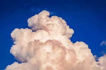 Canvas Print - Amazingly shaped white cumulus clouds before a thunderstorm.