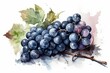 Blue grape watercolor. Generate Ai