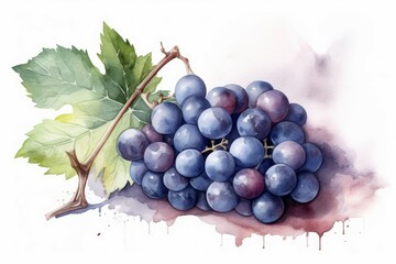 Wall Mural - Blue grape watercolor nature. Generate Ai