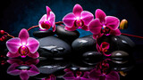 Fototapeta Panele - illustration of pink orchids on black stones with reflection. free space. Spa concept. generative AI