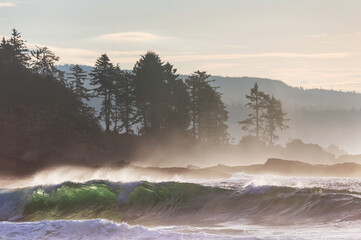 Wall Mural - Ocean sunset