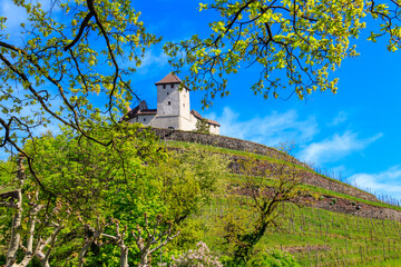 Canvas Print - Gutenberg Castle in town of Balzers, Liechtenstein