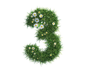 green grass 3d font number three, cut out plants including grass and daisy flower