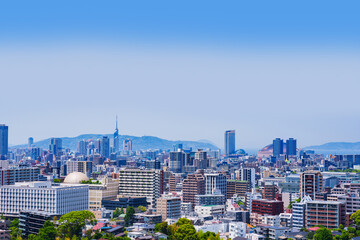 Wall Mural - Landscape of Fukuoka city in Japan