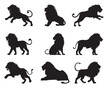 Silhouette lion collection - vector illustration