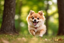 Illustration Of A Lively Pomeranian Dog Frolicking Through A Lush Green Forest Created With Generative AI Technology
