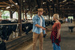 © cherryandbees - A man and a woman shaking hands in a stable with cows.