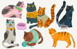 Cats cartoon illustration , watercolor painting vector. cute animal artwork.