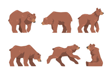 Wall Mural - Brown Bear as Large Wild Terrestrial Carnivore Mammal with Thick Fur Vector Set