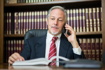 Wall Mural - Businessman using his mobile phone while reading his agenda