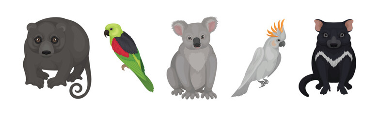 Wall Mural - different australian animals with wombat, koala, cockatoo and tasmanian devil vector set